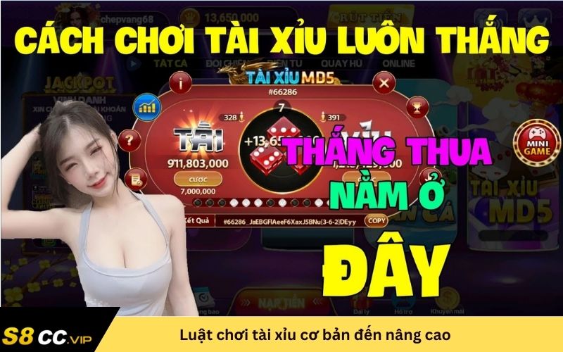 luật chơi tài xỉu